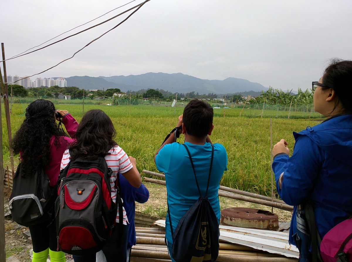 NatGeoEducation's tweet image. April is #CitizenScience month! What plans do you have to build an #ExplorerMindset with your Ss?

Learn about how you and your students can get started with our #ResourceLibrary: on.natgeo.org/6015Kt8TW

📸  Laurel Chor