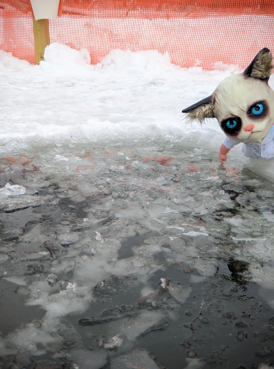 Cat Baby tweet media