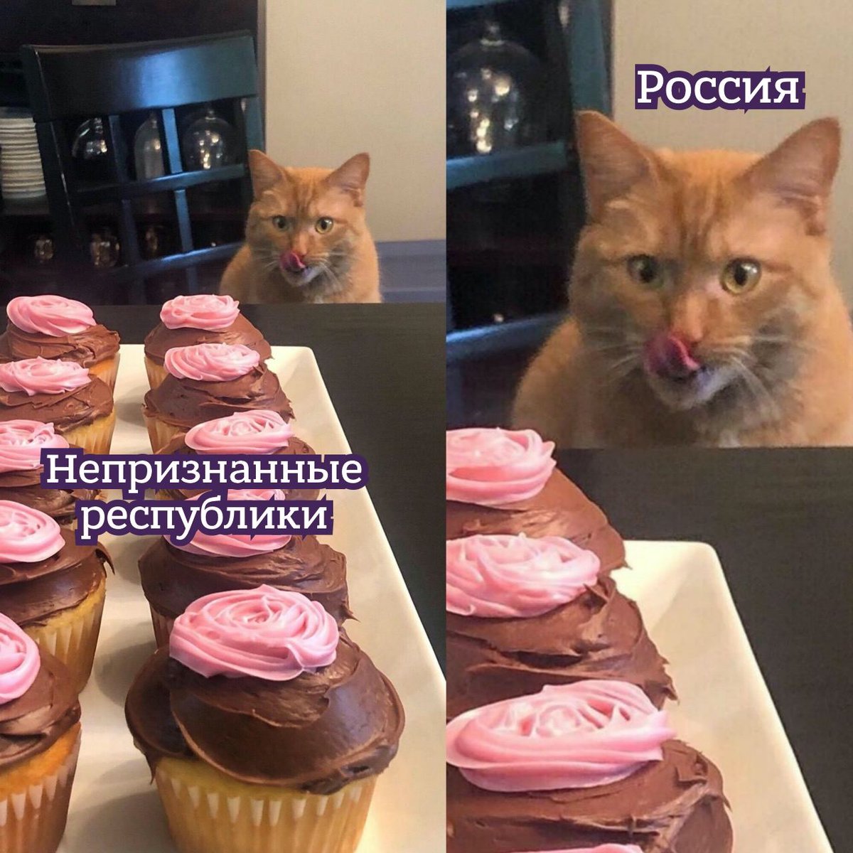 Artem Kapustin (@kapustininta) on Twitter photo 