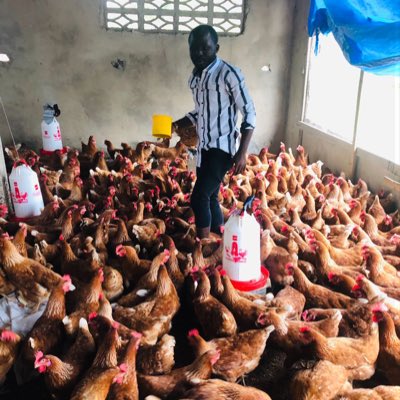Elie Lomboto🇨🇩🐓 tweet media