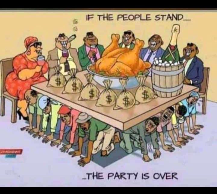 Ben_the_Builder 🚧 tweet media