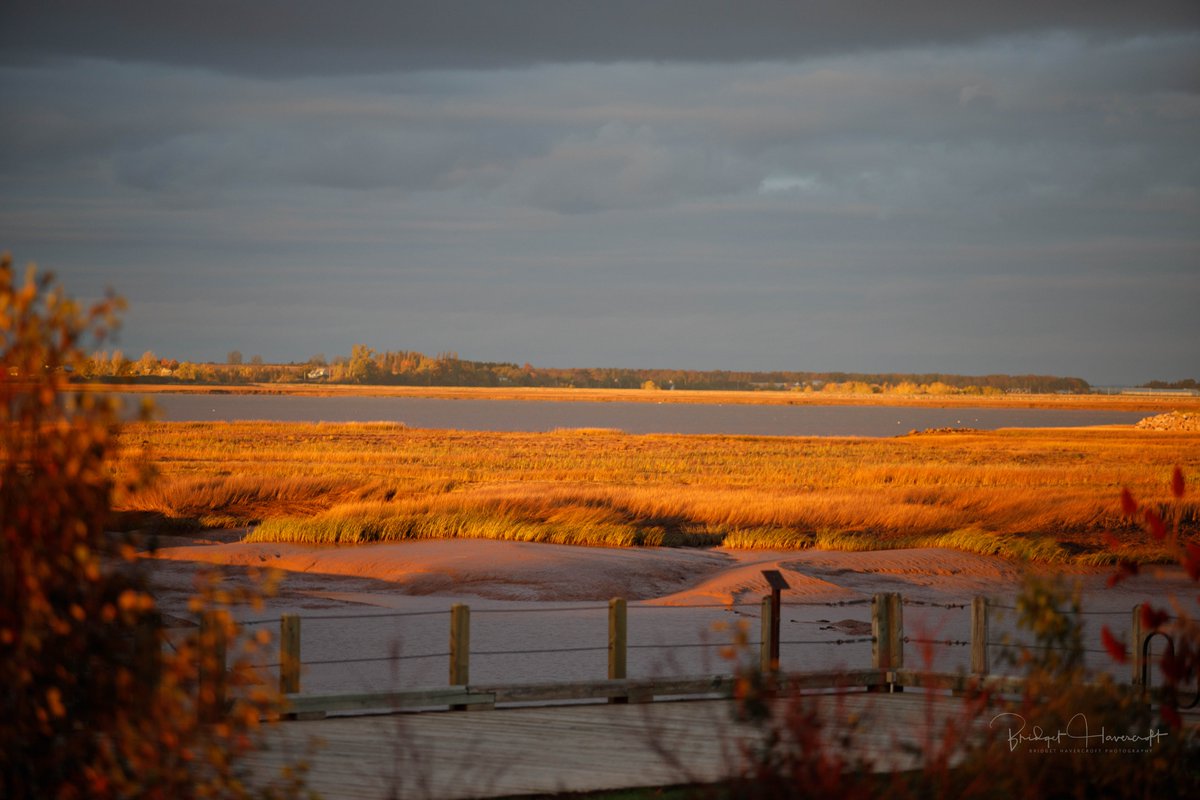 devourfest's tweet photo. Happy #EarthDay! We’re proud to call the Annapolis Valley home, and implement sustainable practices to protect and nurture it for generations to come 🌎

#DevourFest #Devour2022 #FoodFestival #FilmFestival #Devour #Film #visitNovaScotia #wolfville #annapolisvalley #cheflife https://t.co/t8uNoMn0y1