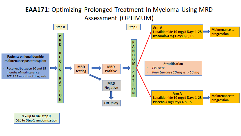 Ph3 Len +/- Ixa maintenance for MRD+ s/p ASCT -> #EAOnc EAA171 - Optimizing Prolonged Treatment In Myeloma Using MRD assessment (OPTIMUM) [Activation: Jun 1, 2021] https://t.co/4TRHkoLglI PI= @myelomaMD #NCT03941860 @eaonc #mmMRD #mmsm #bmtsm n=510 https://t.co/bMnGRhzyX5