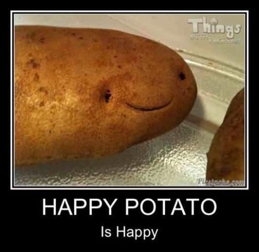HeadSpuddy tweet media