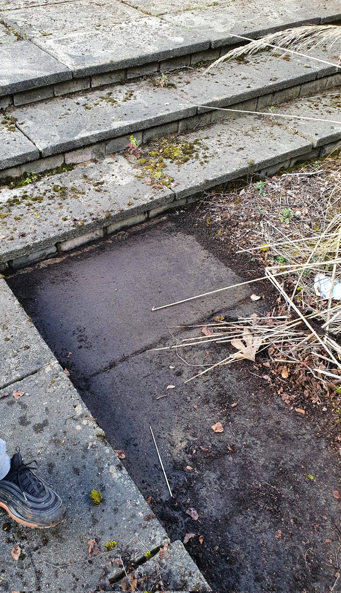 The clean up continues at St Kent's garden. Pupils continue the hard work accompanied by learning about soil and compost and growing on seedlings with cover from the cold. Such a great gardening team! Can't tell you how awesome these pupils are!  @StK_Support <a href="/StKentAc/">St Kentigern's Academy</a>