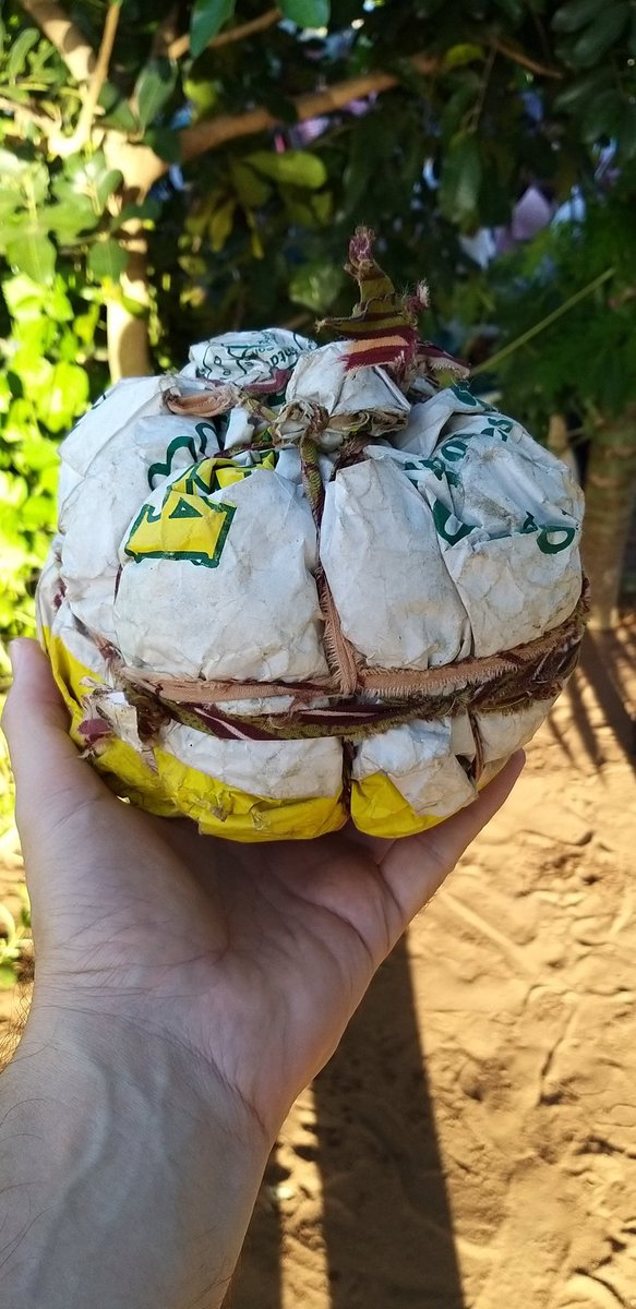 Les presento la Xingufo.
Pelota oficial de los potreros mozambiqueños.
Hecha con bolsas de plástico, atadas con tiras de corteza de xikwenga (arbusto).
Algunos le ponen adentro, un preservativo inflado, para que pique. Los consiguen gratis en los centros de salud
<a href="/ligamozambique/">Moçambola 🇲🇿 - #TheProduct</a>