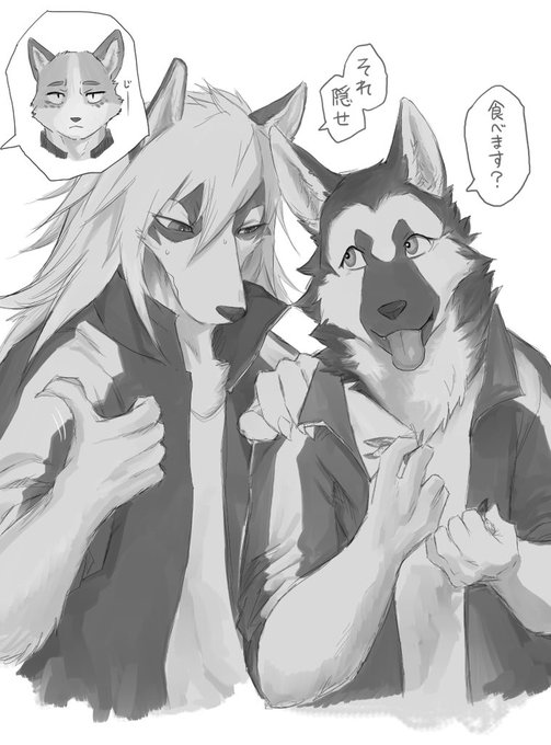獣山学園のリスク
#獣山学園犬ぞり部
#翡翠寮 
#琥珀寮 
#瑠璃寮 