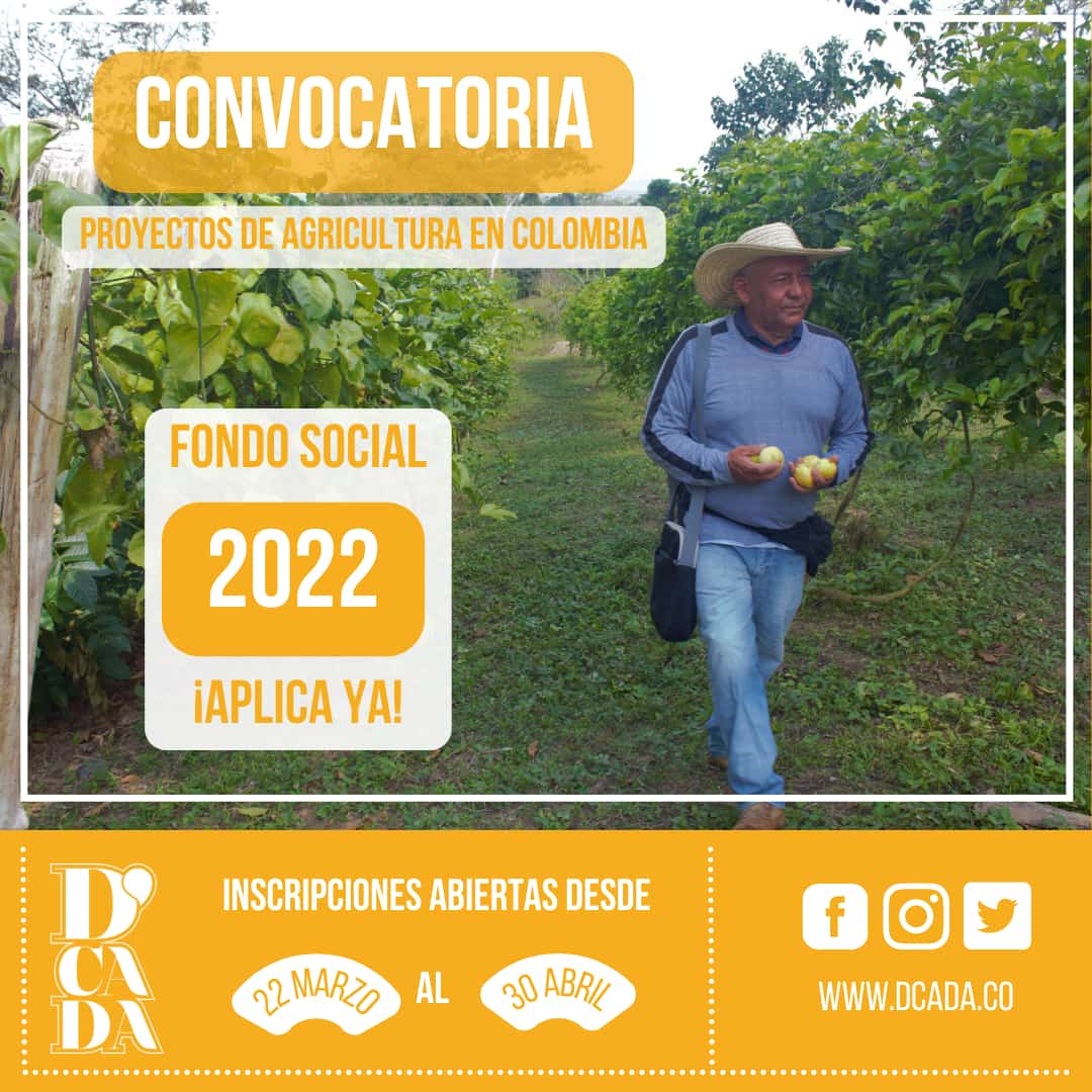 LaCiudadVerde's tweet photo. Buena convocatoria de los amigos de @dcadaco 🍍🍑🥭 https://t.co/NBXXbi0hR3