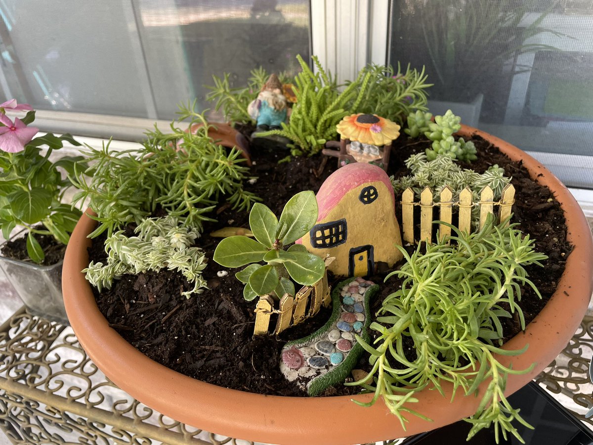 A personal goal of mine. #keepmyplantsalive