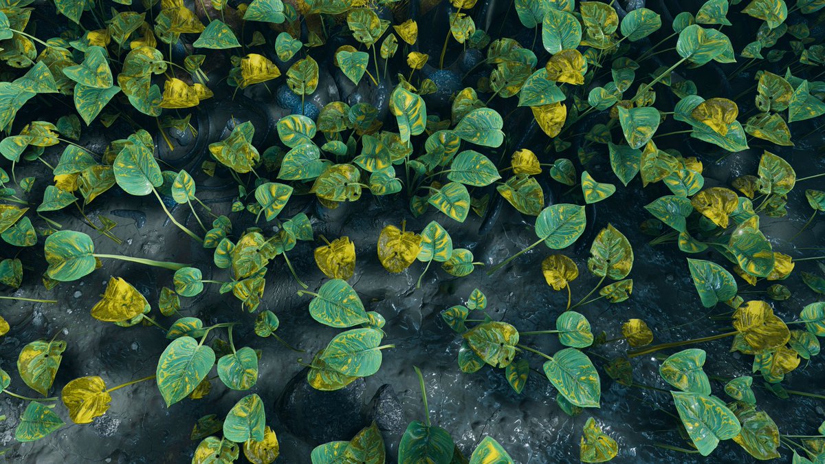 G-Assassin tweet media