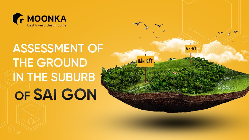 MOONKA Foundation tweet media