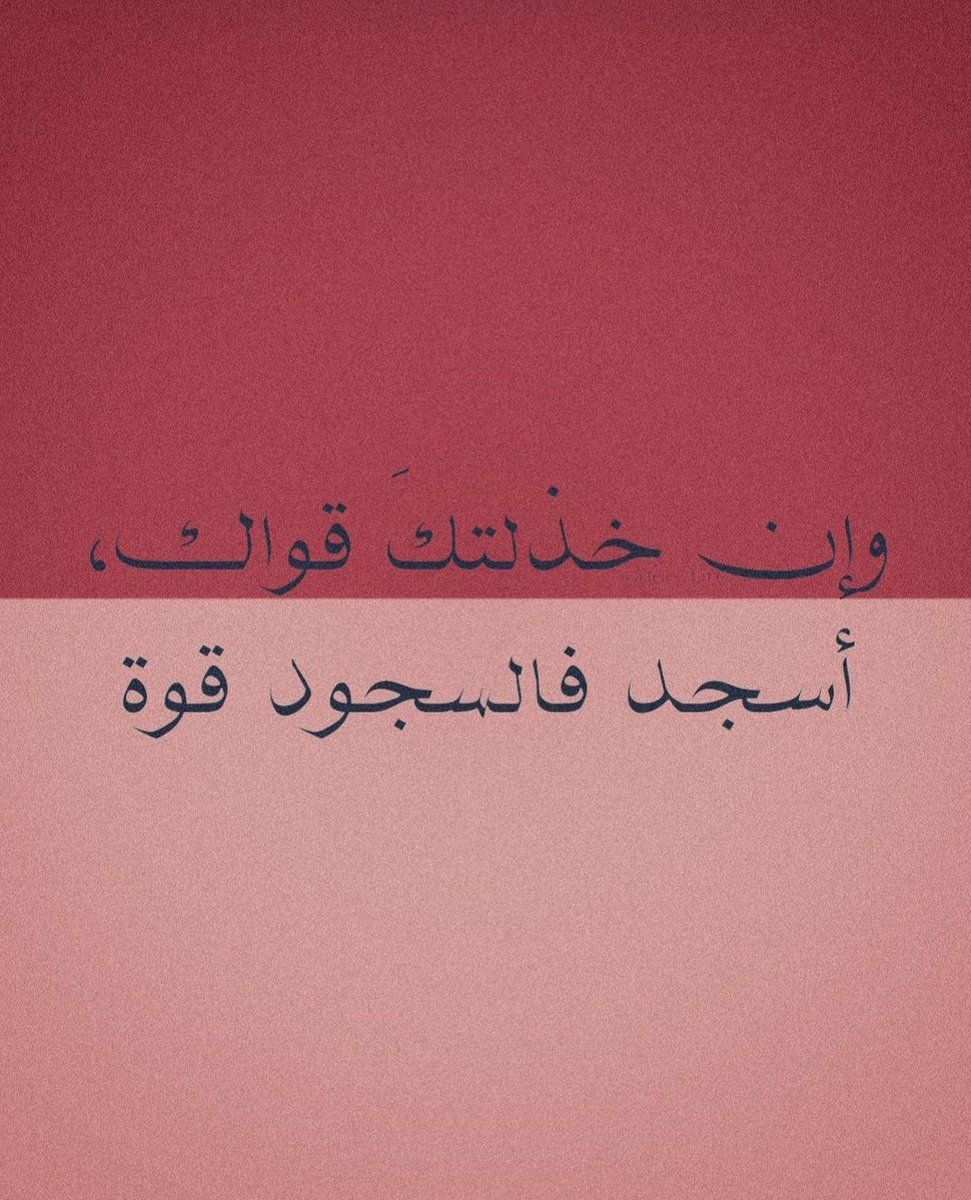 حكمة ٢٤
