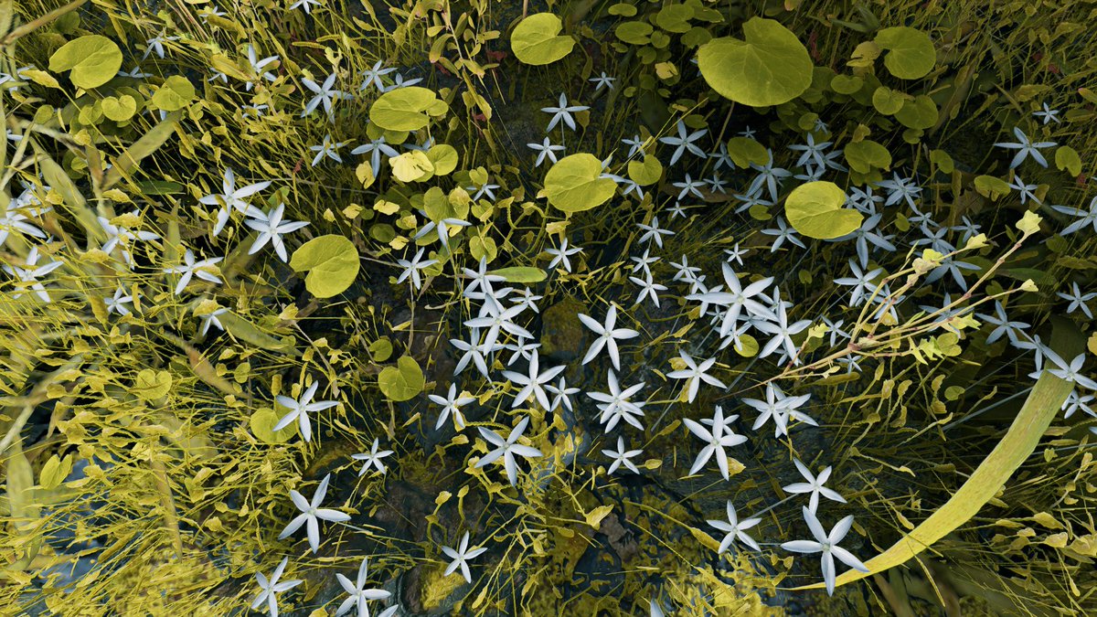 G-Assassin tweet media