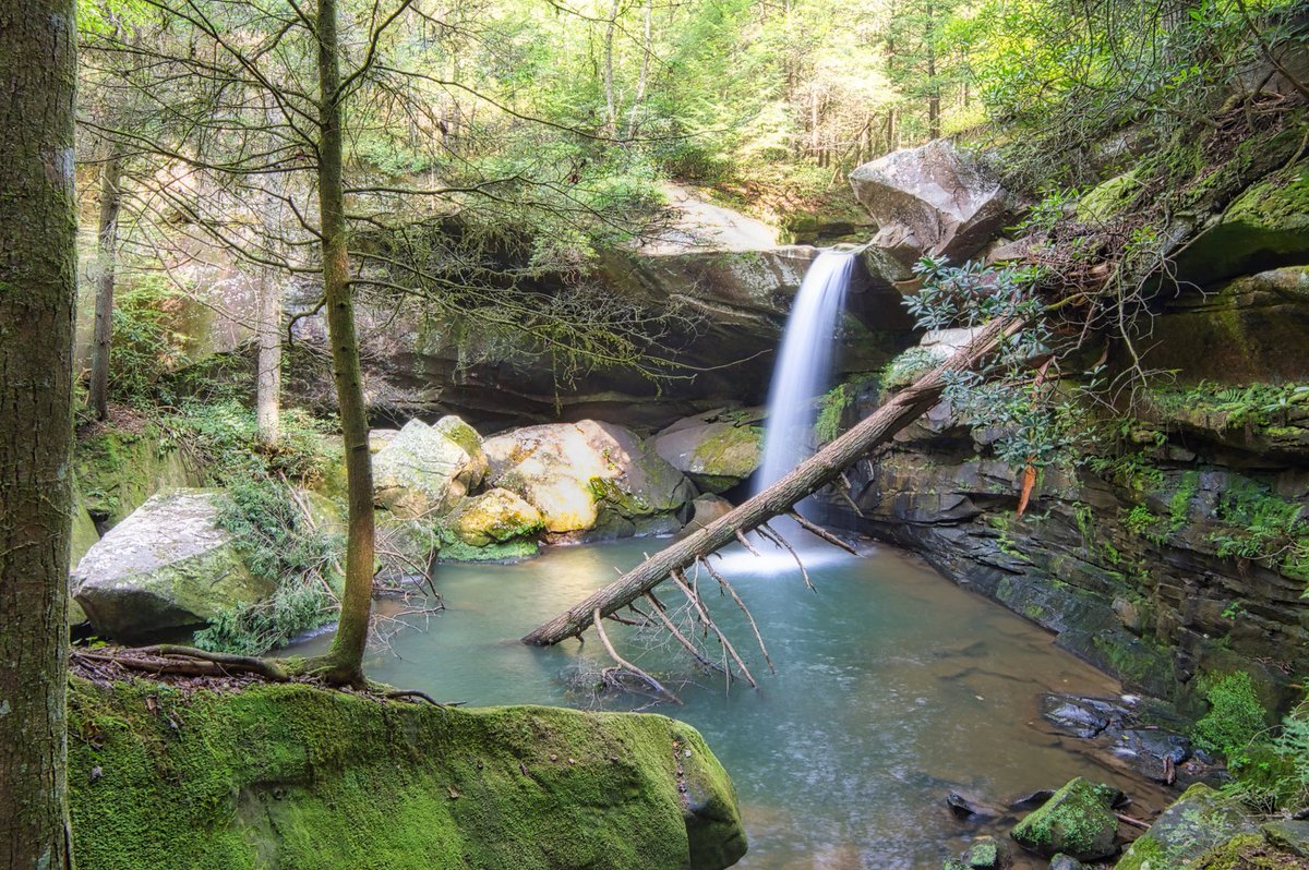 anglinpics's tweet photo. Excited to share this item from my #etsy shop: Scenic Waterfall - Landscape instant download, Digital download, wall art, digital photo, digital print, nature, water, forest https://t.co/xIOtOCNQS1 https://t.co/lPkUm96QS8