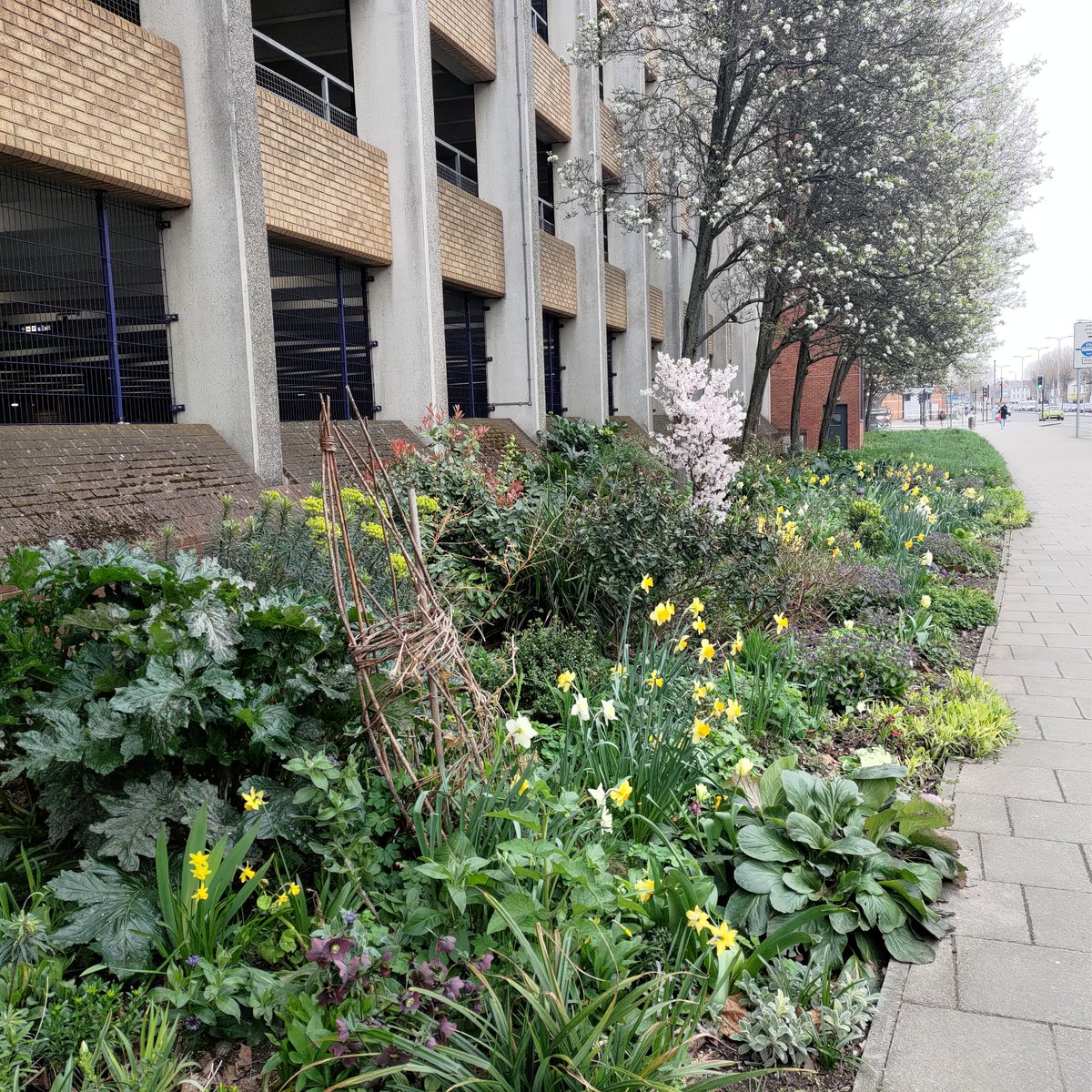ReadingGuerilla's tweet photo. Here's something to look at for everyone stuck in traffic on Vastern Road #vasternroad #guerillagardening #trafficreading #rdguk #GardenersWorld #communitygardens @Reading_Bridge  @ReadingForum @BBCBerkshire @Eastreadingcom @thejellyreading @ReadingGuerilla https://t.co/EytcU7t5Q1