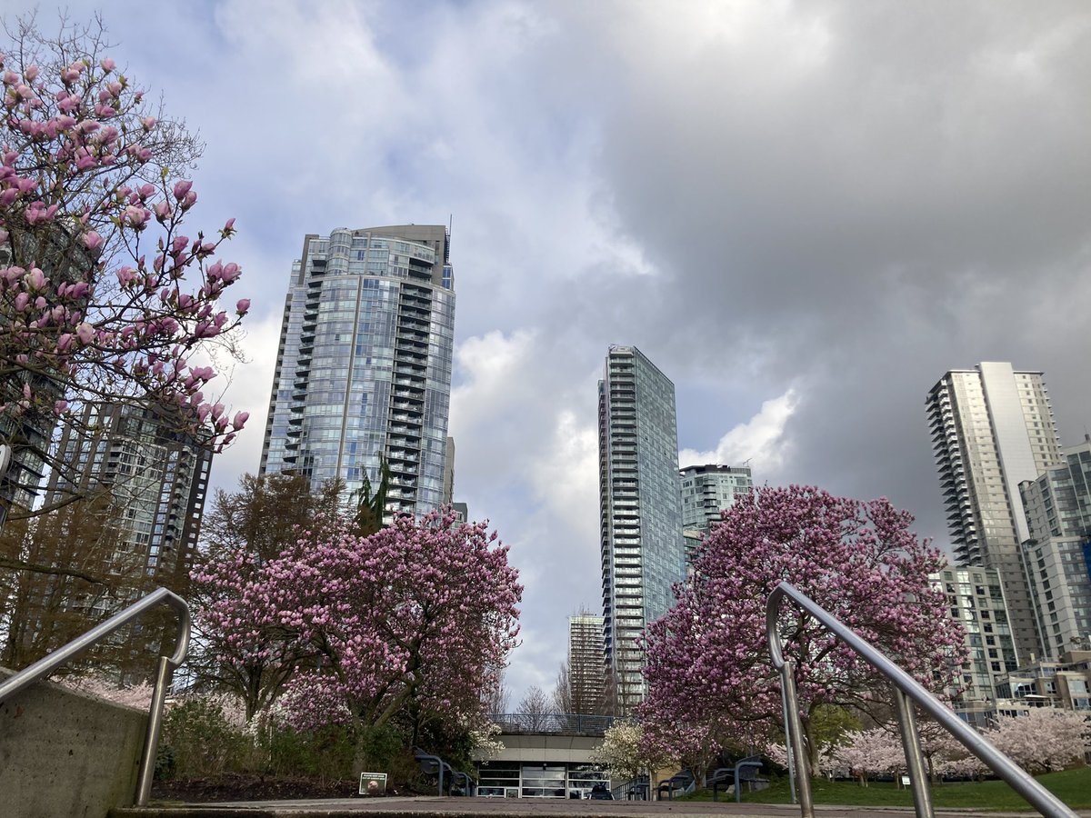 merissafb1's tweet photo. Enjoying the miles in Vancouver! #bostontraining https://t.co/7oDLhHfZaF