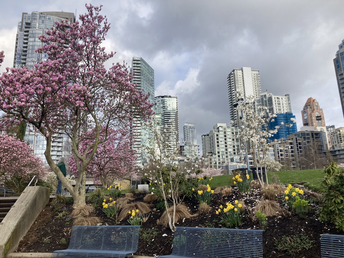 merissafb1's tweet photo. Enjoying the miles in Vancouver! #bostontraining https://t.co/7oDLhHfZaF