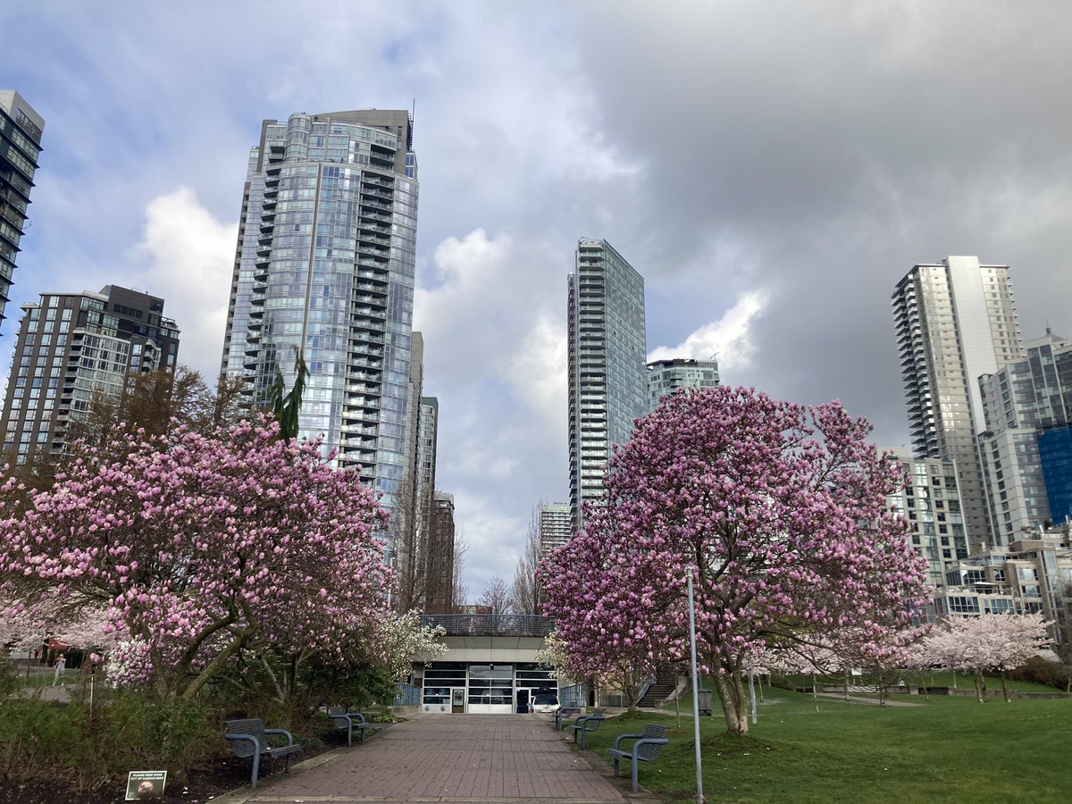 merissafb1's tweet photo. Enjoying the miles in Vancouver! #bostontraining https://t.co/7oDLhHfZaF