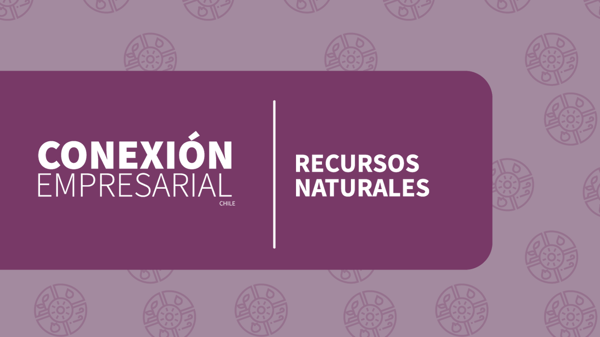 conempresarial's tweet photo. ¿Cómo cuidar nuestro #MedioAmbiente , pensando en las generaciones futuras?
En #CEChile @rchavarri directora del Observatorio de Sostenibilidad FEN de la Universidad de Chile.

📻Escucha en #spotifypodcasts 
https://t.co/ouQyp0DR5q https://t.co/h3txDxYTn8
