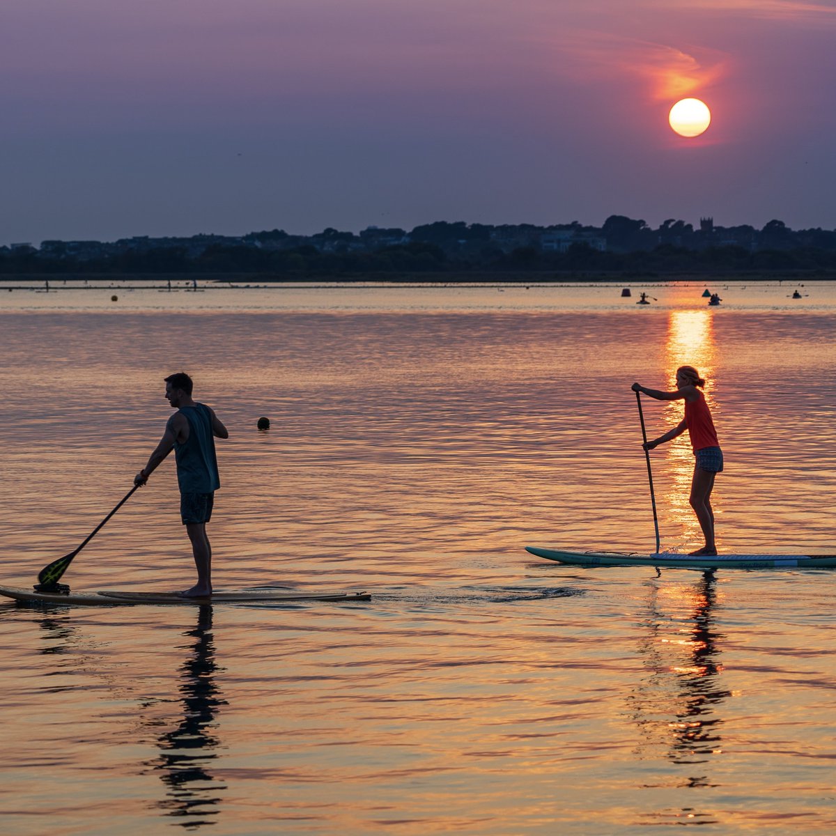 FreeSUPUSA's tweet photo. It's the perfect time to grab your best friend, your paddle, and your board and get out to the water 🌊🏄🏻‍♂️ 

#freeSUP #freeSUPUSA #standuppaddle #standuppaddleboard #sup https://t.co/bj8YCZz72n
