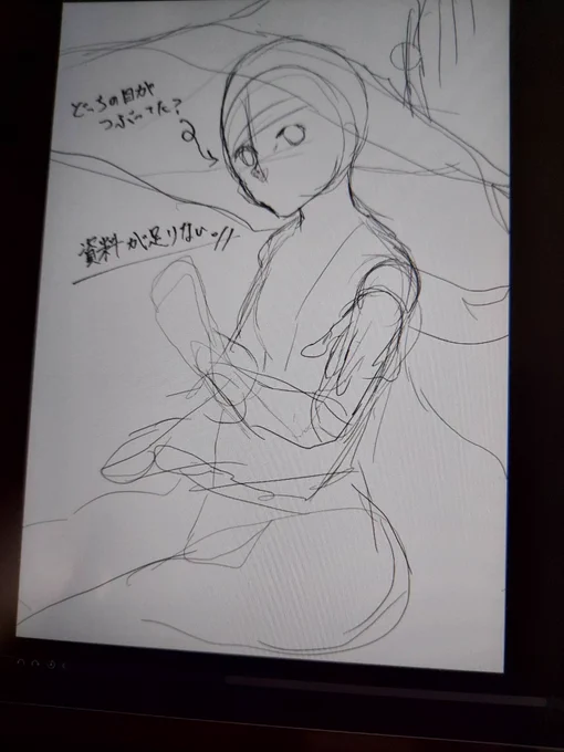 親友の推しのラニちゃん描こうとしてるが資料ないから集めに行かないと

ダメだ、シールケみたいになりそう 