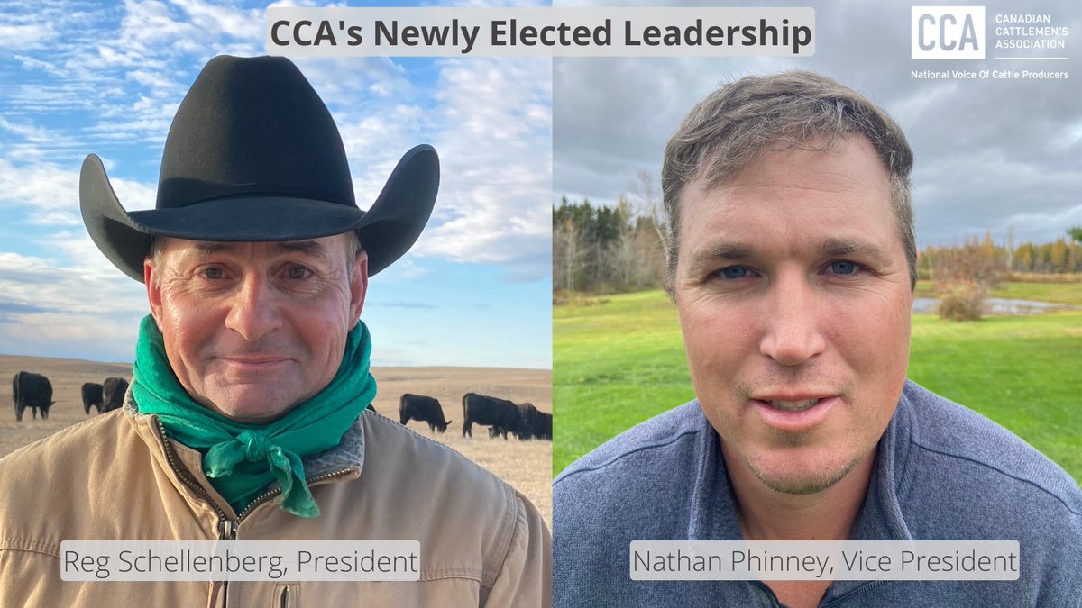At the @CdnCattlemen AGM, Board Members set the organization's course for the next year and elected its new leadership. Reg Schellenberg takes the reins as President, and Nathan Phinney as Vice President. Click here to read more: bit.ly/3tRSL2r