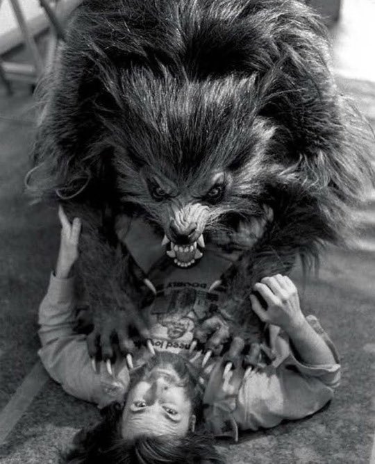 Thezombiechurch's tweet photo. @Horror_Inc_ #werewolfwednesday #kesslerwerewolf https://t.co/HQROxGIFDV