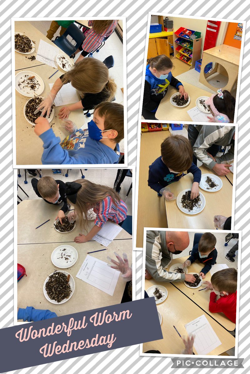 Grade One Shenanigans <a href="/AITCNL/">Agriculture in the Classroom NL</a> <a href="/NLESDCA/">NLESD</a> <a href="/HREschool/">Holy Redeemer Elementary</a>