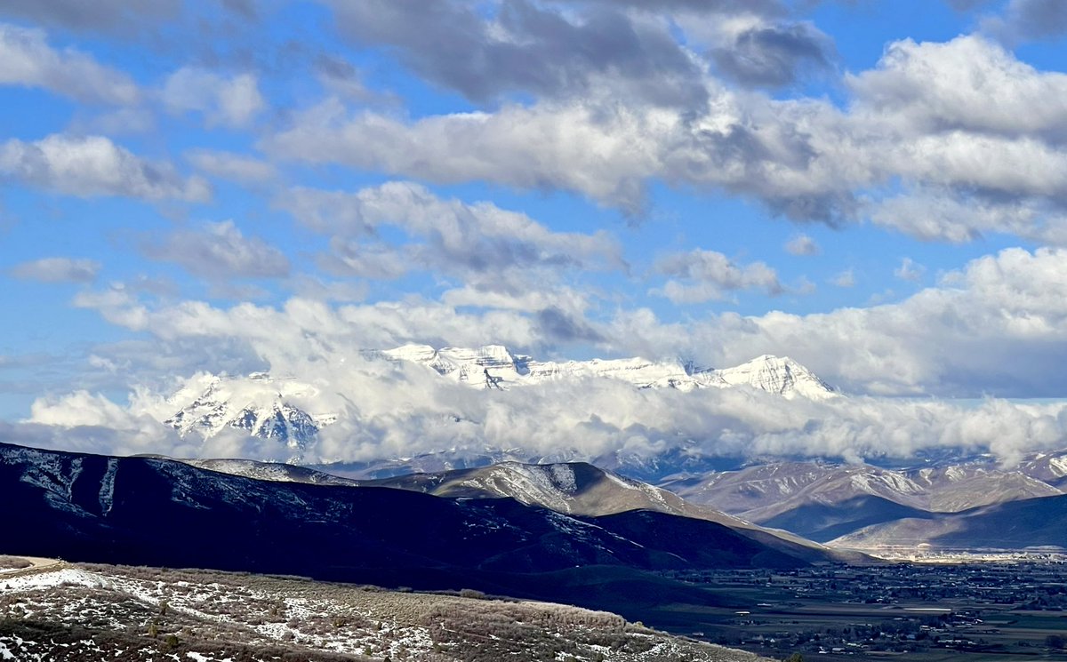 Taking a sick day, today. I find that I’ve been working through being sick, far too much lately. Took off only 2 days with Covid (I’m dumb) and have just been burning it at both ends for a bit. Working from home is a blessing, but I force myself to work sick, too often.