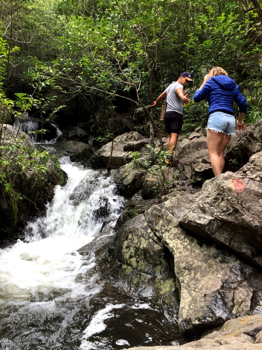 TurismoStaRosa's tweet photo. Ya conocés el circuito a la Reserva Natural La Cascada? 😍
Adentrate en las sierras chicas para recorrer un sendero a pura naturaleza flora y fauna nativa 
🌿 El acceso permanecerá abierto todos los días hasta el 3 de abril  de 10:00 a 16:00 hs. https://t.co/8QtSSoM0w9