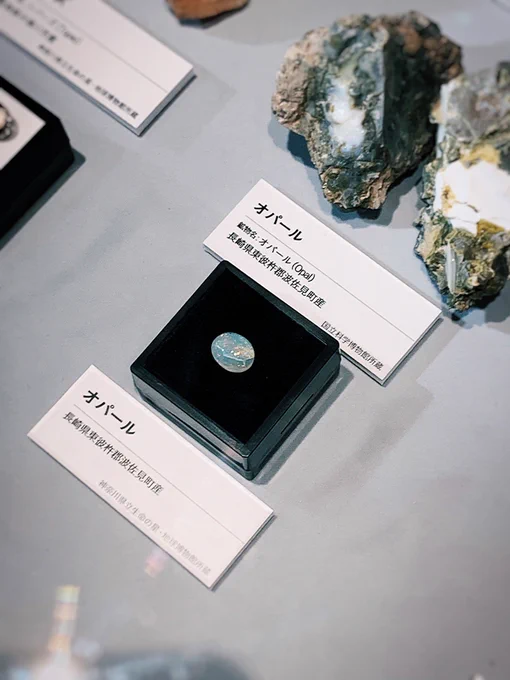 宝石展行ってきた〜🌟 