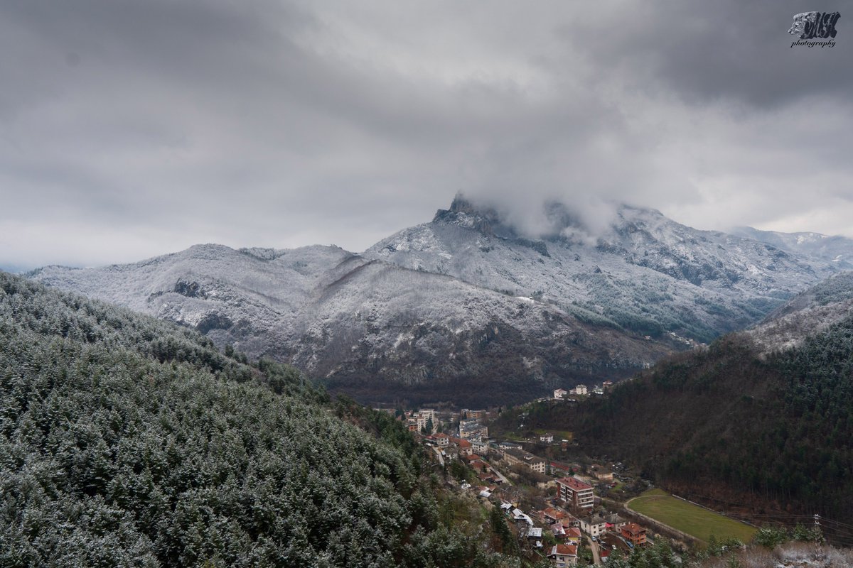 Nature and animals / Bulgaria (@chilikov91) on Twitter photo 