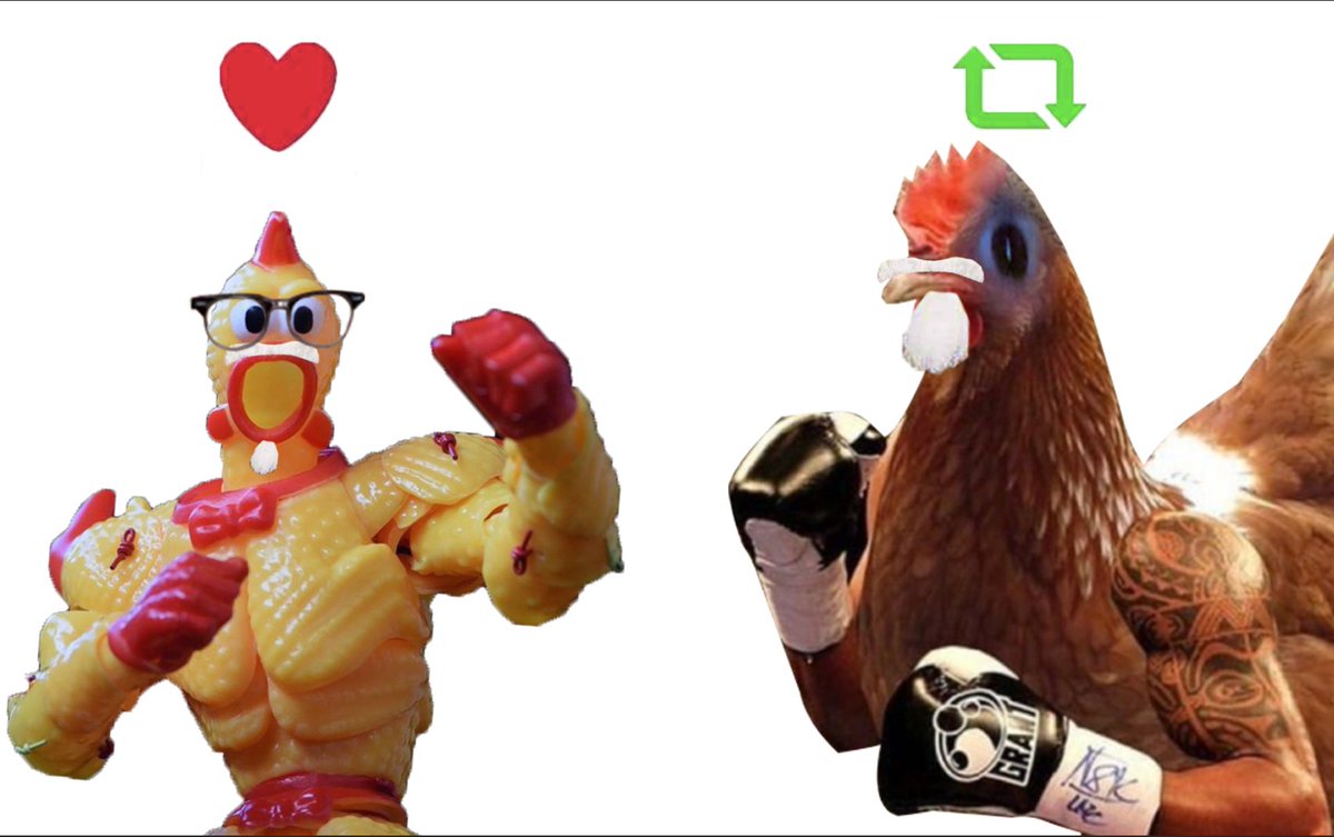 kentucky fight chicken.