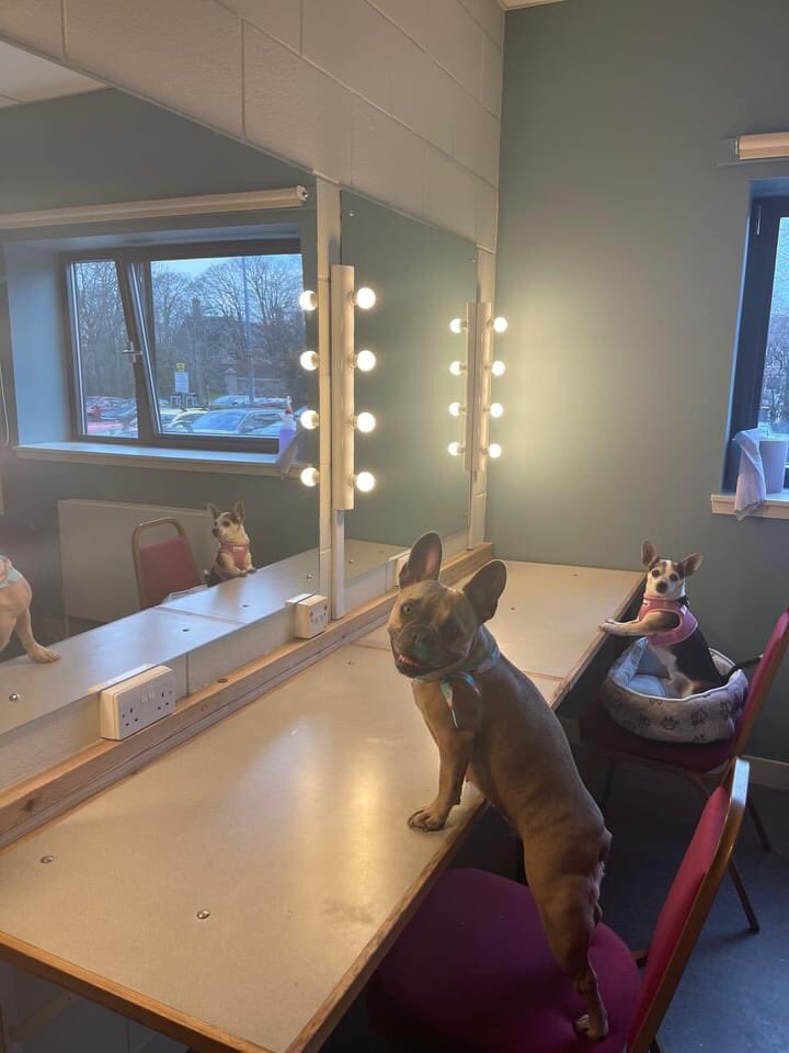 LochardilPS's tweet photo. 'Break a leg' to our PT @MunroJilly, Jessica’s mummy Julie & our Lochardil family pooch Coco aka #Rufus for the opening night of #LegallyBlondethemusical @EdenCourt by @inv_musical #proud #widerlearning #ourlochardilfamilyhastalent #cocoisthecutest https://t.co/V9FlfZ7iSw