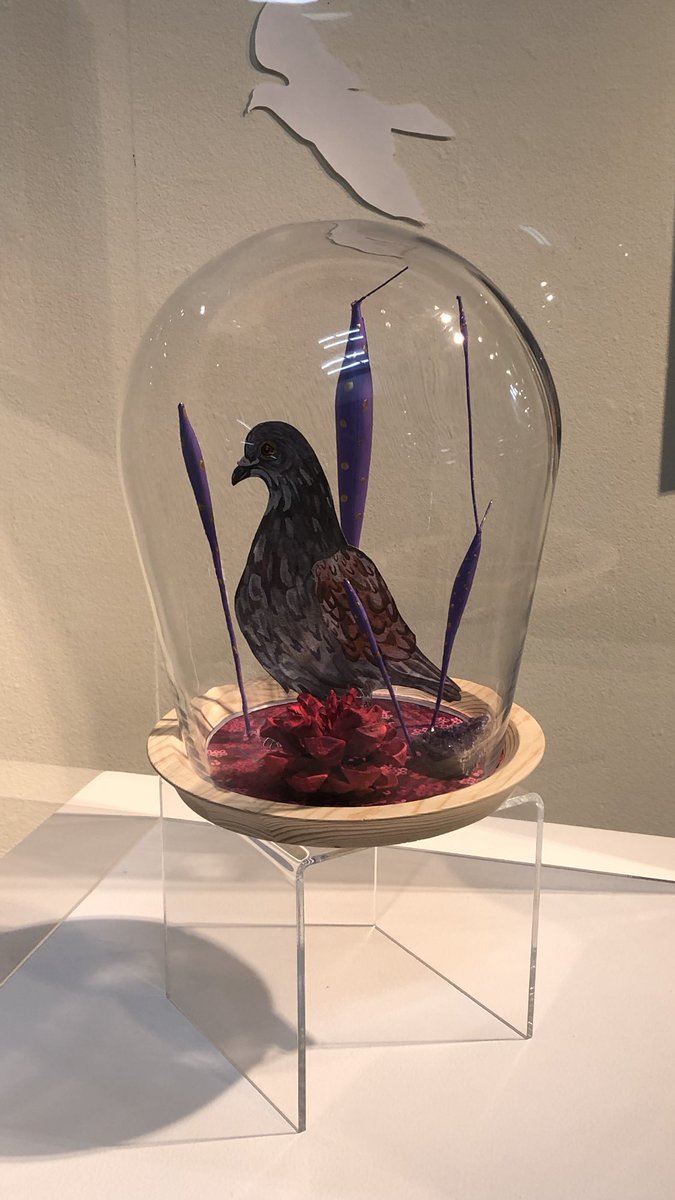davidgibbonslv's tweet photo. My friend made some really pretty artwork in Vegas of pigeons. Naturally I think Mike Tyson is the best buyer for these pieces since he loves pigeons. How do I get in touch with Iron Mike? @LasVegasLocally @VitalVegas  @VegasLocal1 @VegasIssues @LifeNLasVegas @MikeTyson https://t.co/cbOrag7XkN