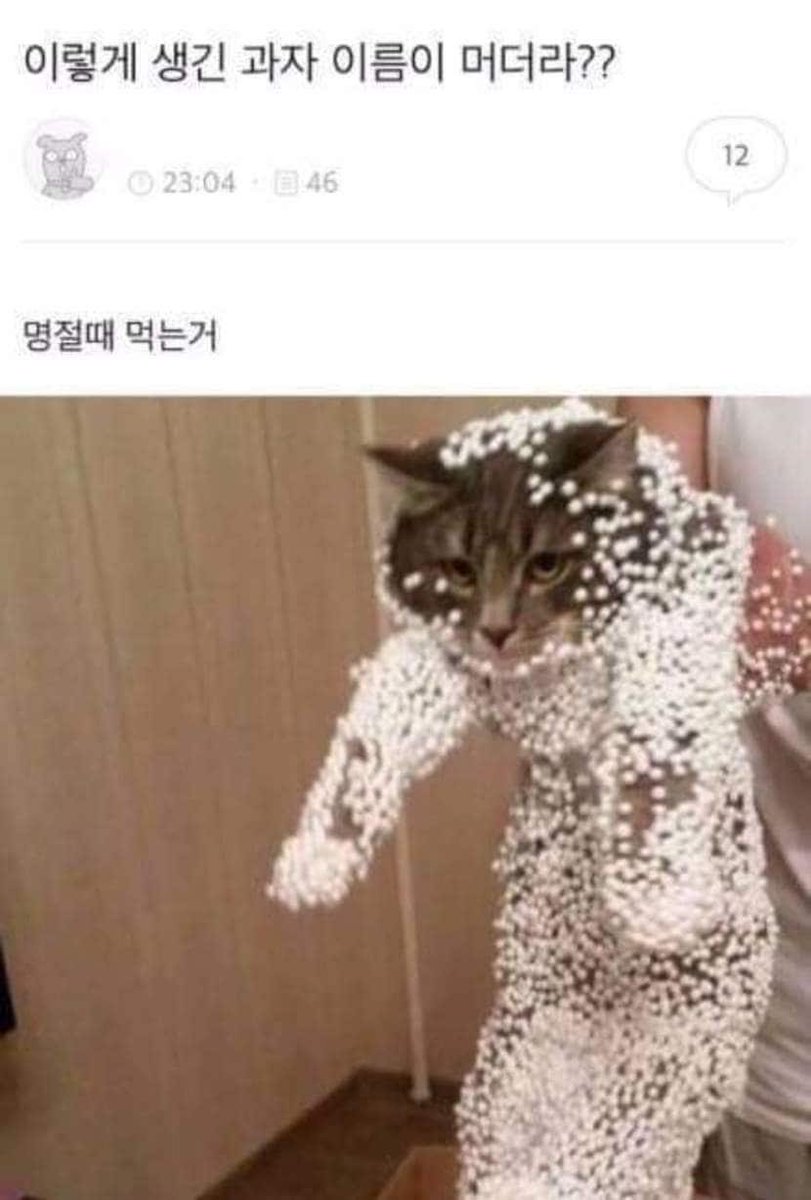 호피산 tweet media