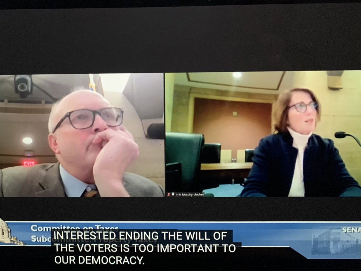 mauramcc2's tweet photo. So grateful to @GinnyD173 , @daynaviewpoint, Mary Kay Capecchi and others for testifying against SB3882, a bill that would fiscally punish cities that implement rent stabilization measures. @epmurphymn, thank you for your eloquent statement of concern! #mnleg #FIMN #ISAIAHMN https://t.co/iqZCdPqoGS
