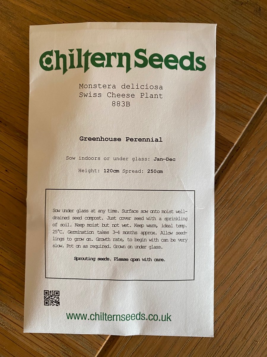 KeepingThePlot's tweet photo. Home-grown Monstera, step 1*: sowing the seeds…. 

*Might be a while before the next step - the packet says germination will take 3-4 months🤞🤞🤞

#houseplants https://t.co/KqdlzedjfE