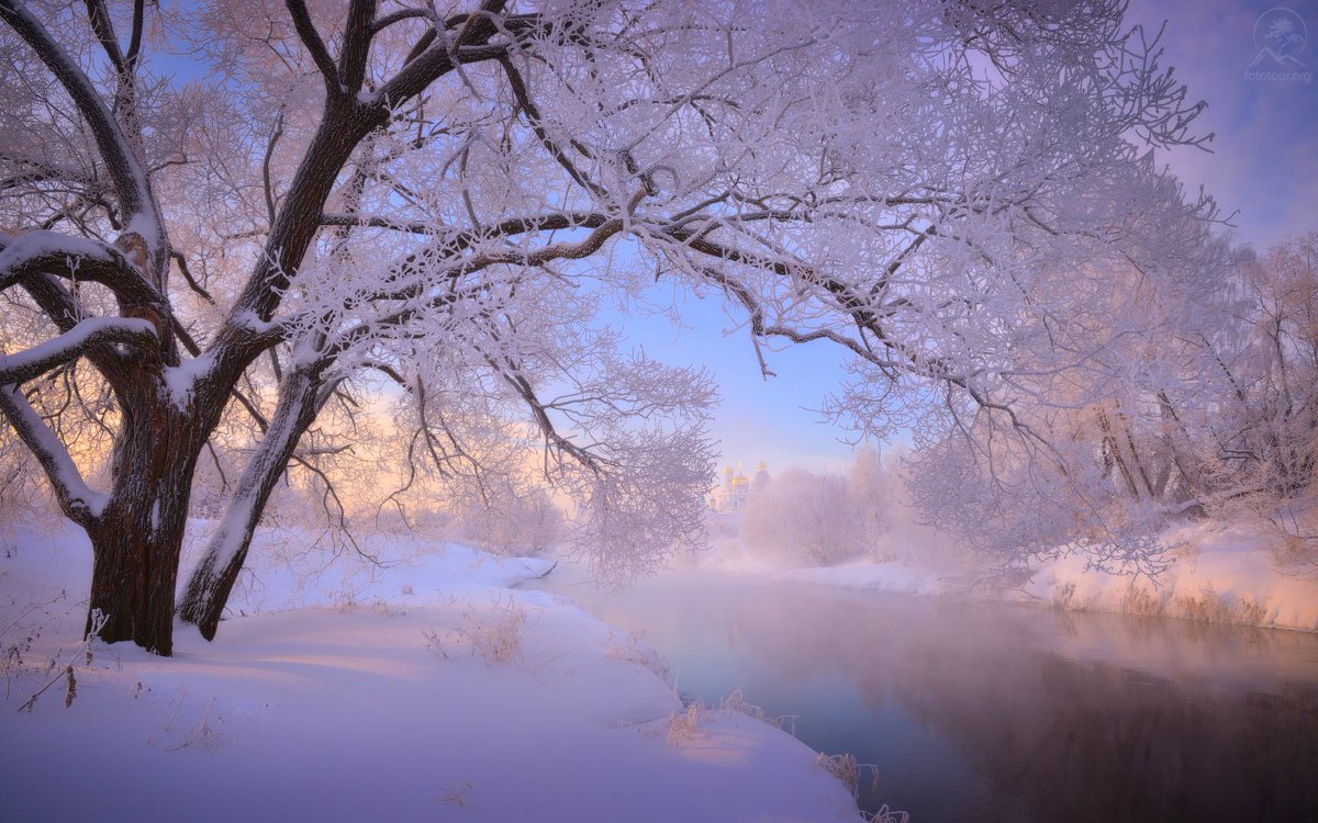 Frozen ❄️

#frozen #hielo #nieve #fotografíadepaisaje