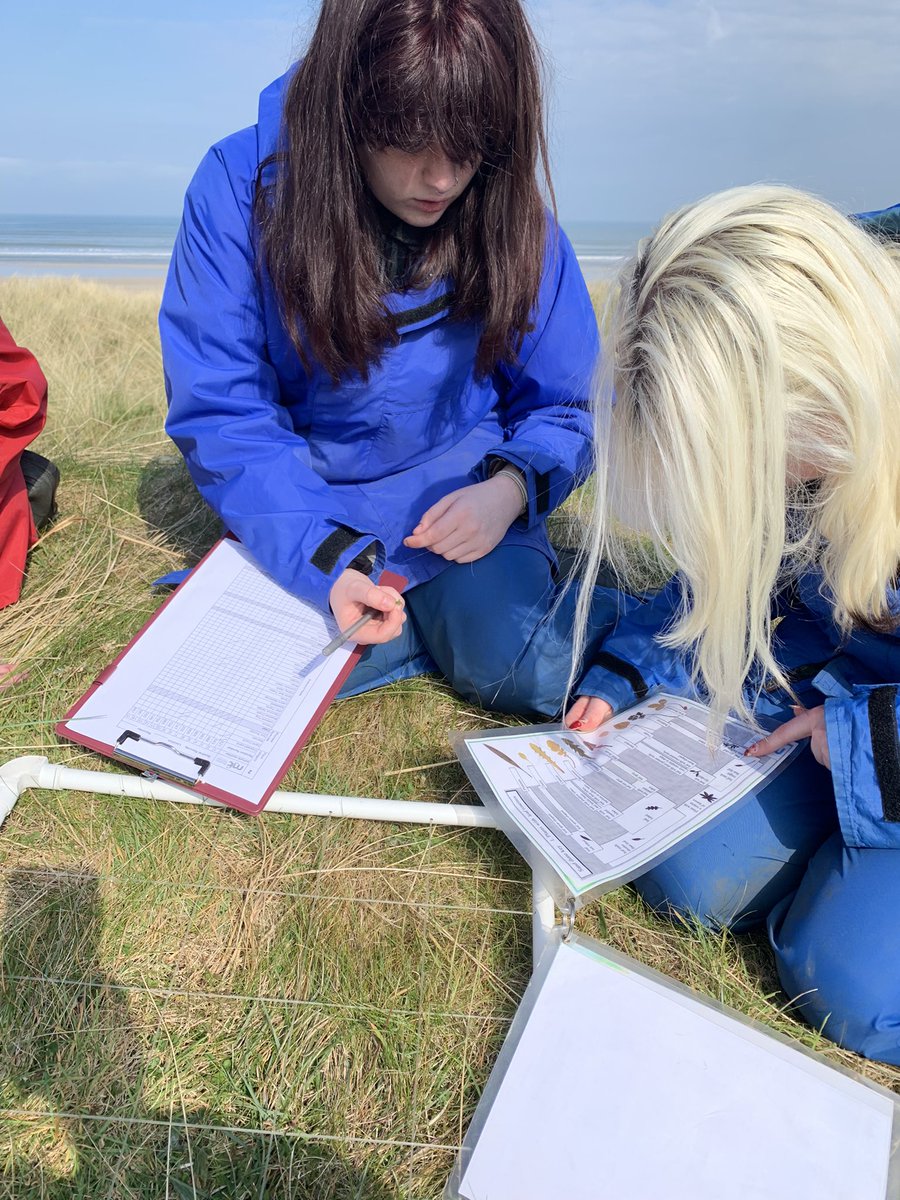 Stceciliasgeog's tweet photo. Umbra Nature Reserve AS #beachstudy results collected @FieldCentre @StCeciliasDerry https://t.co/OKiP63QLmc