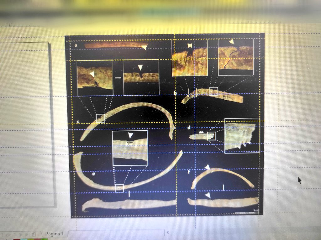 (1) How it started, (2) process of design and symmetry, and (3) almost-final result. LOVE IT❤️. Hours of work... Editing, moving, changing, measuring, moving again... More edit... Yas! #Wednesbone💀 #ForensicAnthropology #ForensicTaphonomy #RocDeLesOrenetes #CollectiveBurial #PhD