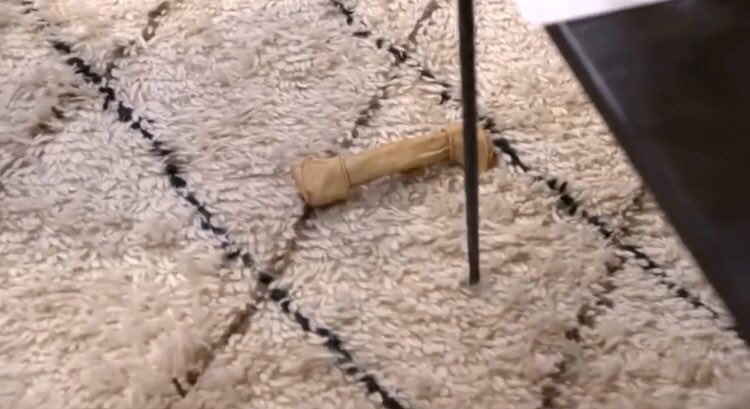 ThatBoyyJacob1's tweet photo. @queensofbravo Oh no, that women did not throw a bone to Sheree the bone collector lol #RHOA #RHOATrailer https://t.co/uECC2C4pAl
