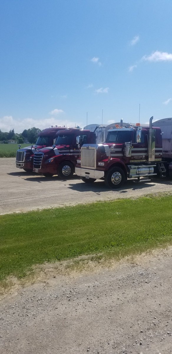 Colin Giffen (@colingiffen1) on Twitter photo Wanted Part-time Driver
We have current trucks & trailers, home every night, picking up and delivering grain from field to elevator, based out of Minesing, please send resumes to giffenfarmstrucking@gmail.com Wanted Part-time Driver
We have current trucks & trailers, home every night, picking up and delivering grain from field to elevator, based out of Minesing, please send resumes to giffenfarmstrucking@gmail.com