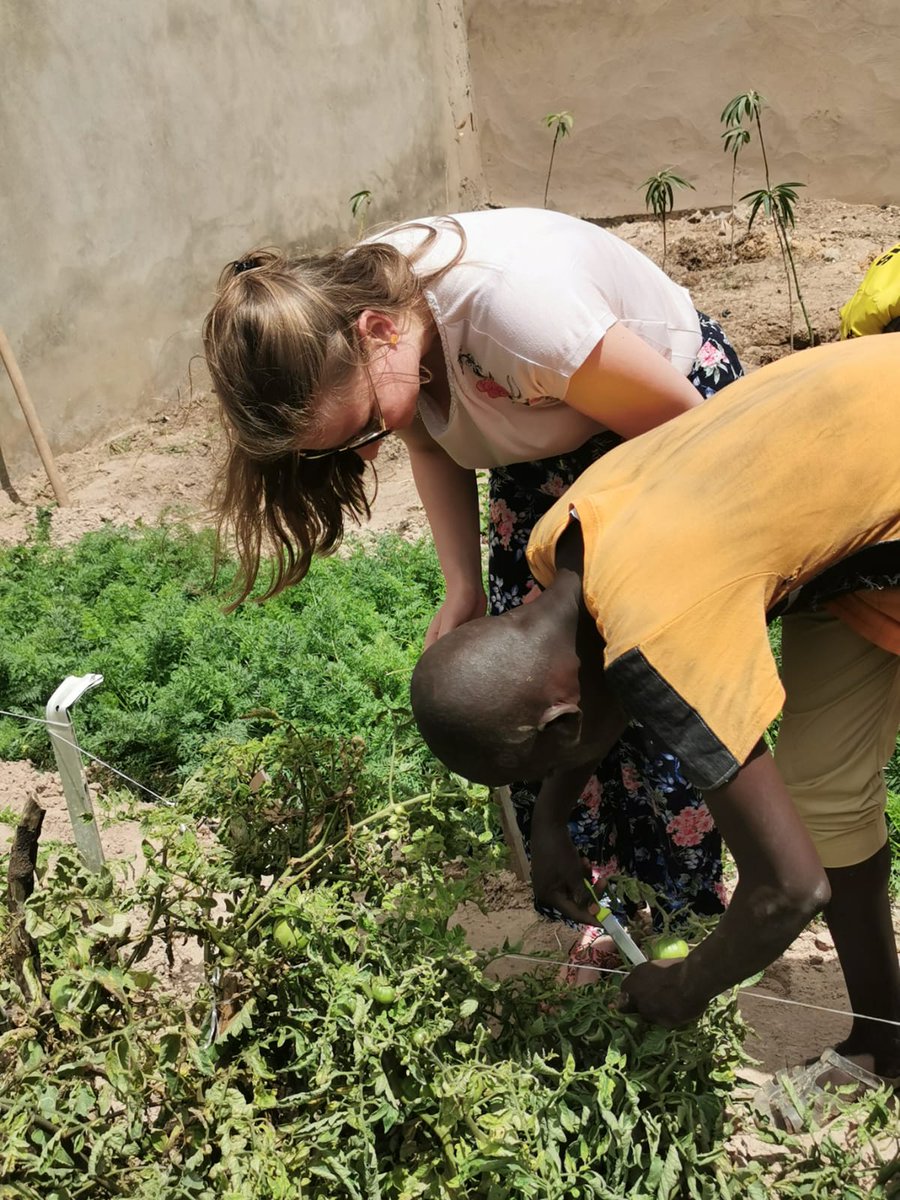 JJ_PG_Extase's tweet photo. Les vacances au #Sénégal c'était aussi 4 jours à KMF avec @assoLPG. Les gars ont bossé de ouf dans ce jardin, qui n'était qu'un tas de gravats il y a quelques mois. Je vous raconte, parce que je suis fière comme un coq ou comme un gaindé 🐓🦁 https://t.co/9jTqO39pnG