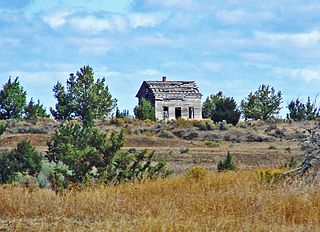 adamsmithworks's tweet photo. Alice Temnick’s review of #PrairieFires highlights how Wilder’s writing captures #AdamSmith’s binary definition of prudence. A beautiful blend of self awareness and self control – found in the story of writer #LauraIngallsWilder’s life. https://t.co/37FZa4H1bN #LibertyFund https://t.co/mbwLFzoJ2c