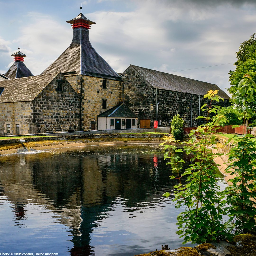 World Intellectual Property Organization (WIPO) tweet media