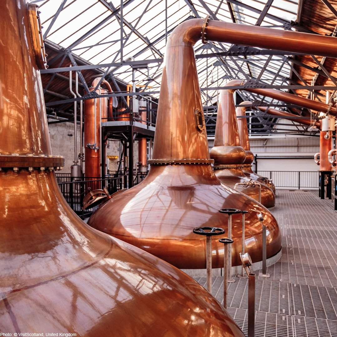 World Intellectual Property Organization (WIPO) tweet media