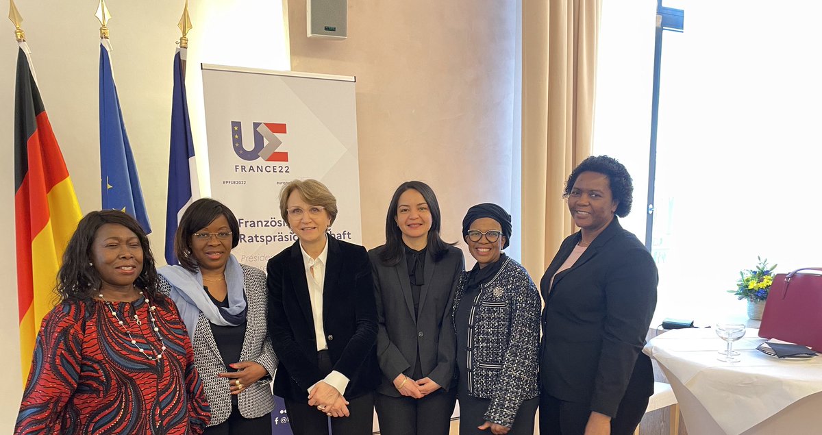 French Ambassador w/ Ambassadors of Liberia , Gabon , Mauritius , Botswana and Zimbabwe. The renewed Africa-EU partnership: the challenges of supporting the African private sector. Calls for a meaningful partnership based on reciprocity &amp; Investment.