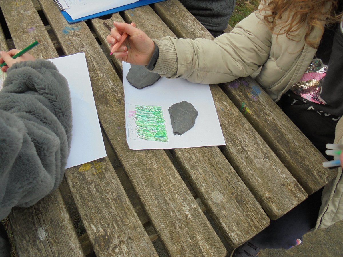 WoodlandsPrim1's tweet photo. Looking closely at nature today and sketching what we could see. #outdorlearning #confidentindividuals It was so wonderful to see every child engaged in their learning. https://t.co/XespaFfCqD