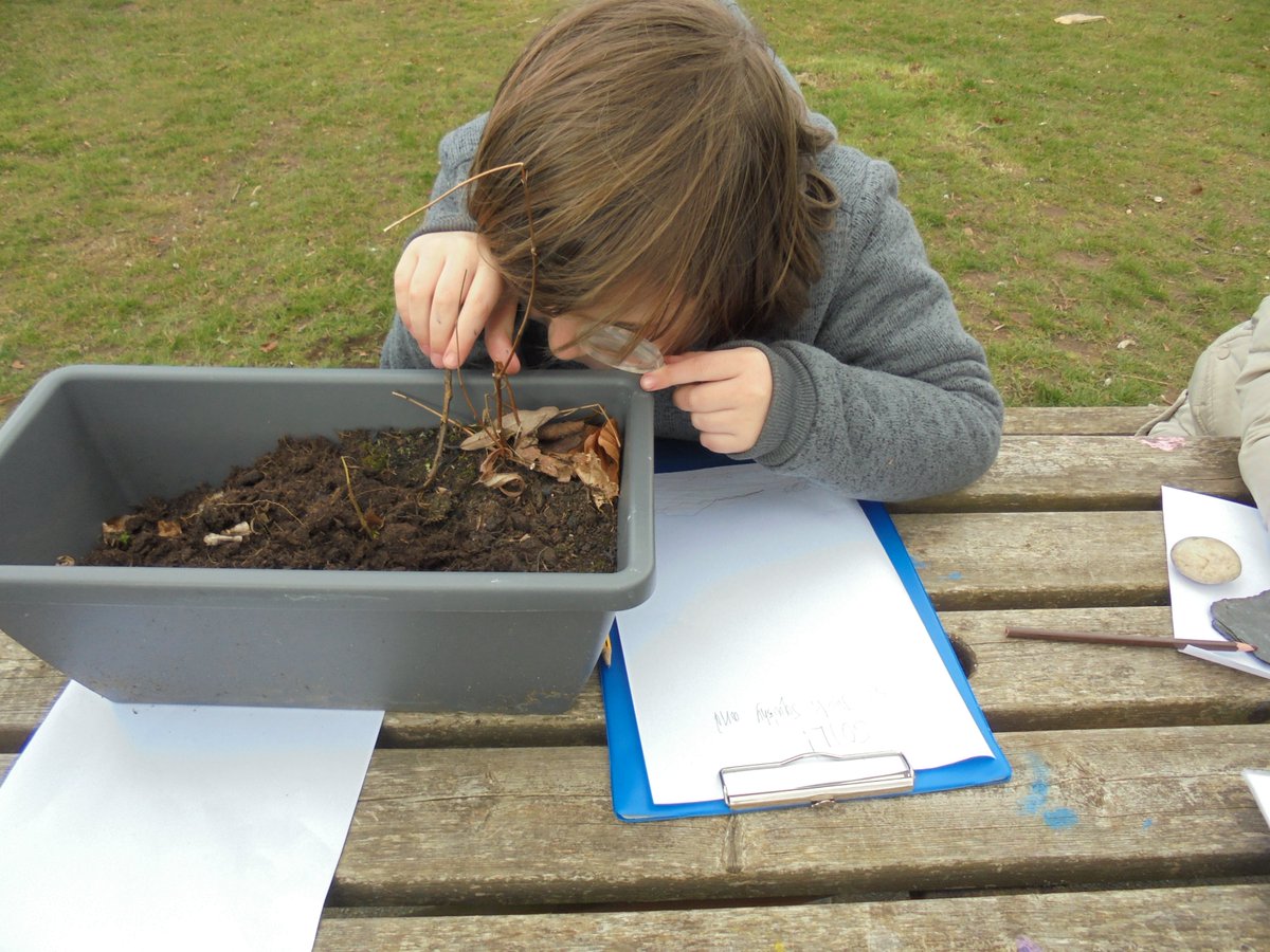 WoodlandsPrim1's tweet photo. Looking closely at nature today and sketching what we could see. #outdorlearning #confidentindividuals It was so wonderful to see every child engaged in their learning. https://t.co/XespaFfCqD